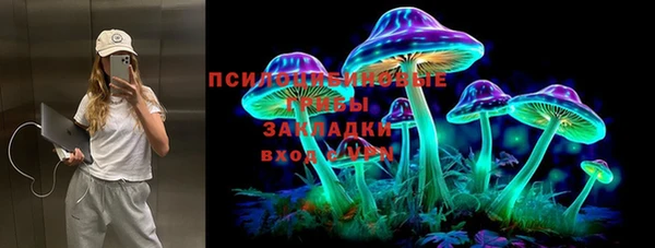 а пвп мука Алексеевка