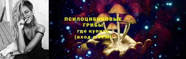 индика Россошь