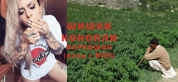 индика Россошь