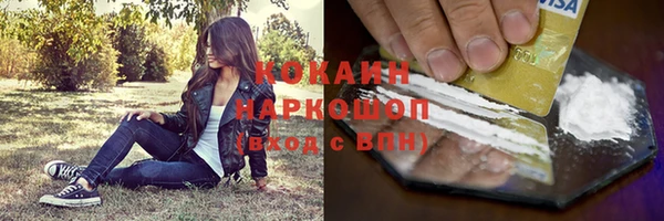 тгк Арсеньев