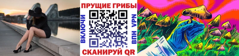 Псилоцибиновые грибы GOLDEN TEACHER  Среднеколымск 